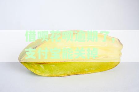 借呗花呗逾期了,支付宝能关掉不:逾期关闭还会开通吗?