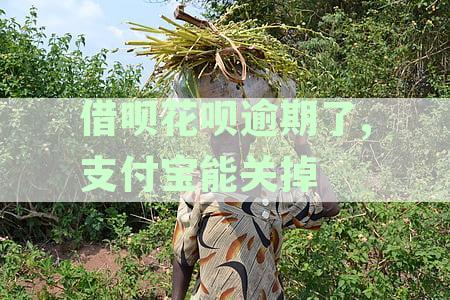 借呗花呗逾期了,支付宝能关掉