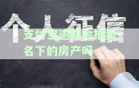 支付宝逾期会拍卖名下的房产吗？逾期还款安全性和房产冻结可能性分析
