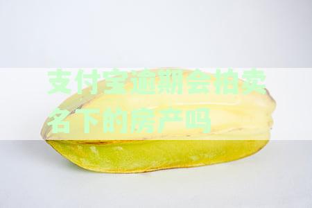 支付宝逾期会拍卖名下的房产吗安全吗：冻结房产可靠性分析