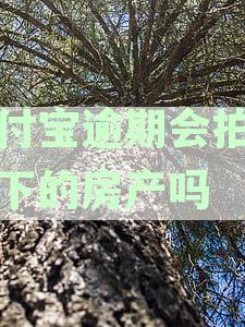 支付宝逾期能不能拍卖房子，逾期后还能贷款买房吗？