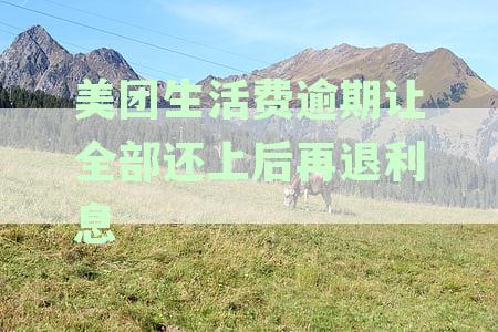 美团生活费逾期还上后能否再借安全吗？逾期还款后多久可再借？