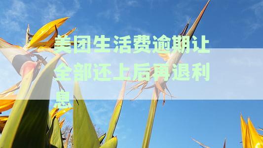 美团生活费逾期利息高吗：探秘逾期费用标准