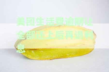 美团生活费逾期还了一些还剩一点让一次性还清逾期欠款