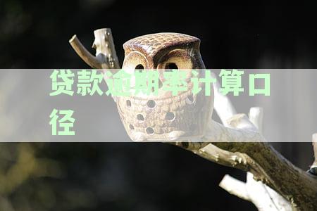贷款逾期率计算口径公式详解：如何计算及公式含义