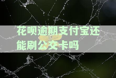 花呗逾期导致无法使用公交卡支付及乘车码解决办法