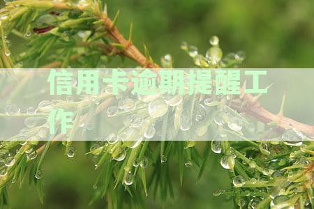 信用卡逾期提醒工作