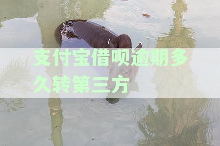 支付宝借呗逾期多久转第三方平台还款与恢复使用