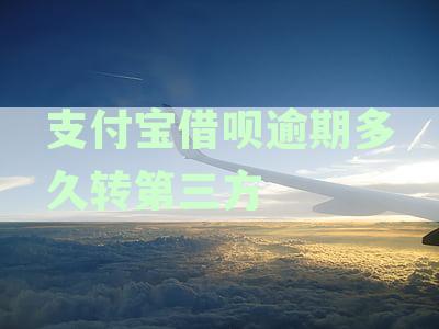 支付宝借呗逾期多久转第三方账号，逾期多久合适，多久再借