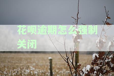 花呗逾期怎么强制关闭账户功能与信息