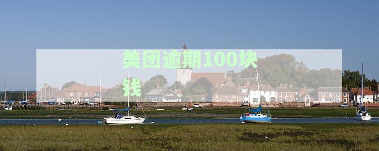 美团逾期100多天起诉后法院多久财产保全，诉前通知函法律效力如何，停止联络原因及影响分析