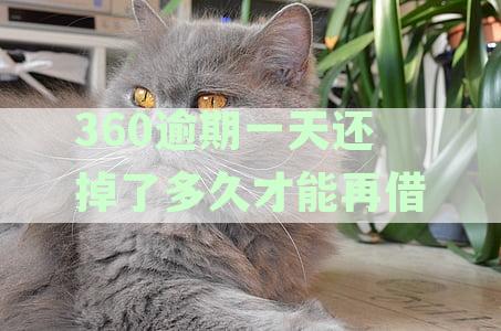 360逾期一天还掉了多久能再借钱