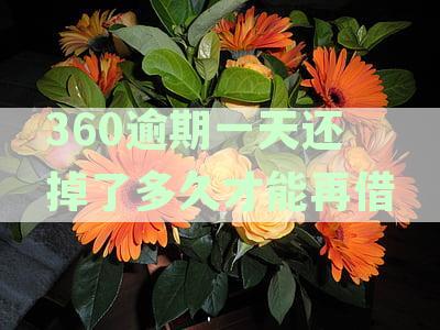 360逾期一天还款后能否再次借款及额度使用影响