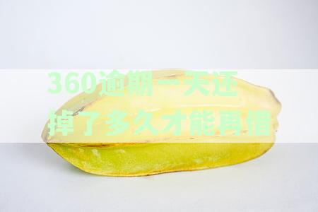 360逾期一天还掉后为何不能借款？