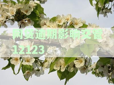 网贷逾期会影响交管12123办理吗？逾期后如何解决？