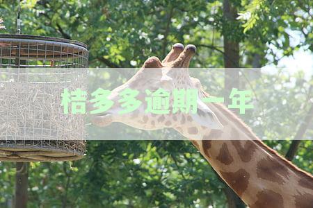 桔多多逾期一年多了会被起诉吗？逾期多久会被起诉时限