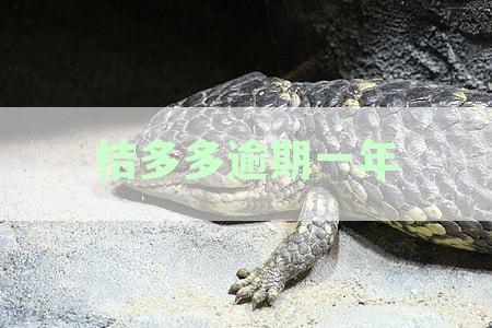 桔多多逾期一年被起诉怎么办？逾期一年后是否会起诉？