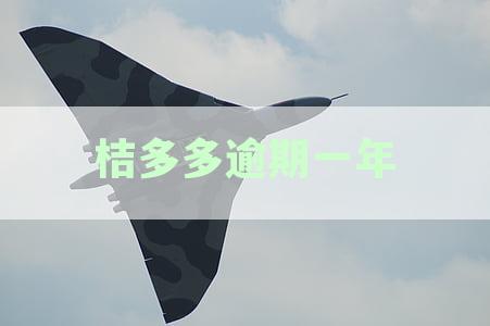 桔多多逾期一年