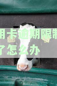信用卡逾期限制消费了怎么办呢？逾期后如何恢复信用卡使用？