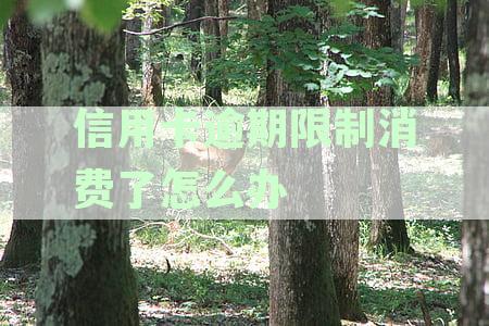 有关于信用卡解决逾期的新规吗？2020年信用卡逾期最新政策解析