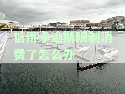 2021年对于信用卡逾期的处理规定与情况分析