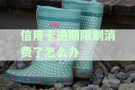 2020年信用卡逾期最新标准通知文件