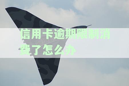 信用卡逾期限制消费了怎么办