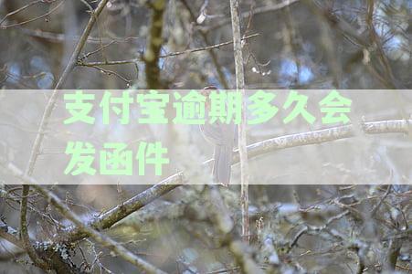 支付宝逾期多久会发函件给家人通知并短信通知通讯录