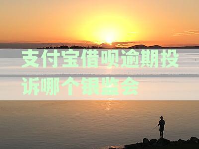 支付宝借呗逾期投诉哪个银监会有用？