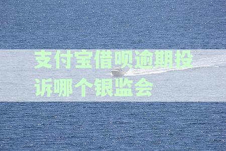 借呗逾期去哪里投诉最有效？逾期催收投诉通道详解