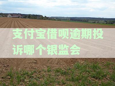 支付宝借呗逾期投诉哪个银监会