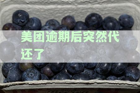 美团贷款逾期已还清,但催收公司还是打电话怎么办？全面解决方案探究