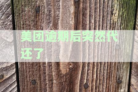 美团逾期还款后能否再次借款？逾期后再借的安全性与操作性分析