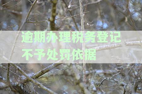 逾期办理税务登记不予处罚依据是什么：法律解析