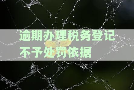 逾期办理税务登记不予处罚依据是哪些法律