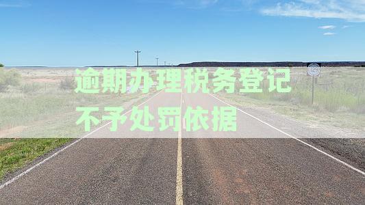 逾期办理税务登记不予处罚依据规定详解