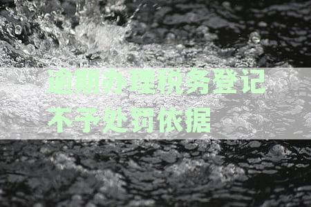 逾期办理税务登记的处罚规定及补办流程