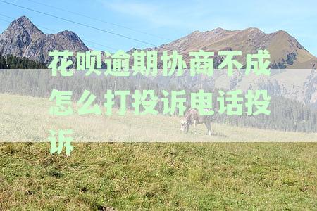 花呗逾期协商打什么电话：最有效与官方协商解决逾期问题