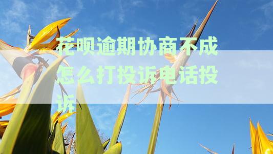 花呗逾期怎么打客服电话投诉与协商解决方案