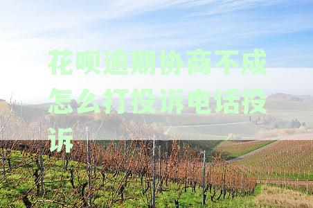 花呗逾期协商不成怎么打投诉电话投诉