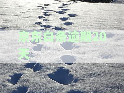 京东白条逾期20天