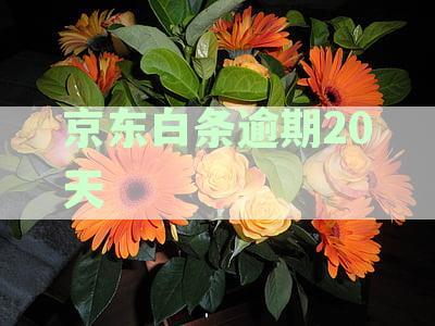 逾期20天会给家里人联系吗？逾期10天呢？安全吗？