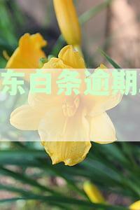 逾期20天有没有事？逾期后果、上征信风险及还款后额度情况详解