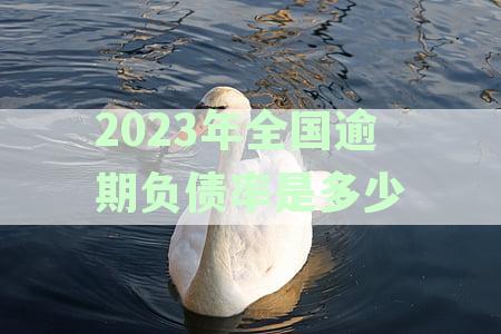 2023年全国逾期负债率是多少万？综合分析揭示负债状况