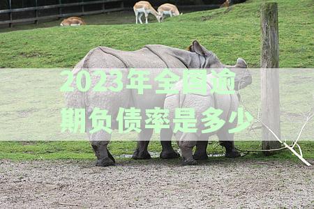 2023年全国逾期负债率是多少