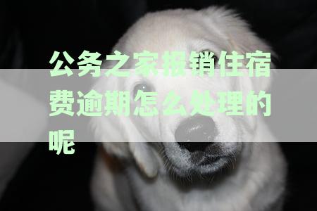 公务之家报销有时间限制吗？多久到账，如何处理超时问题