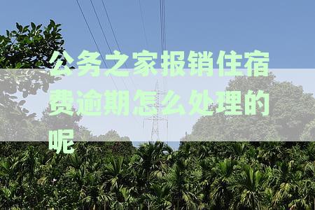公务之家报销住宿费逾期怎么处理的呢