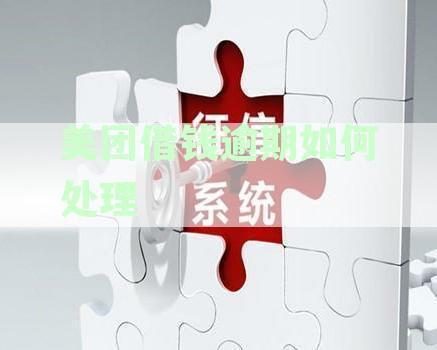 美团借钱逾期如何处理的：解决方法及征信影响