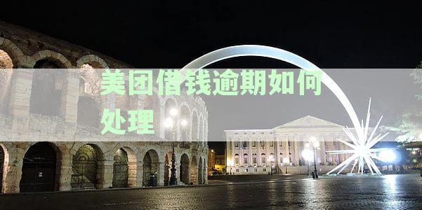 美团借钱逾期处理进度显示等待评价是什么意思