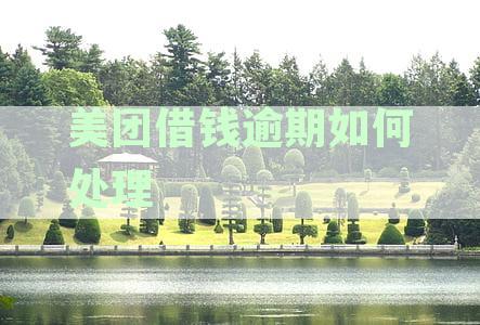 美团借钱逾期如何处理